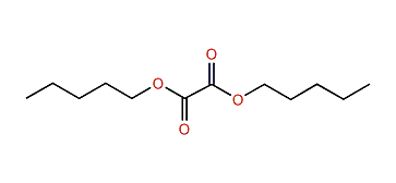 Diamyl oxalate